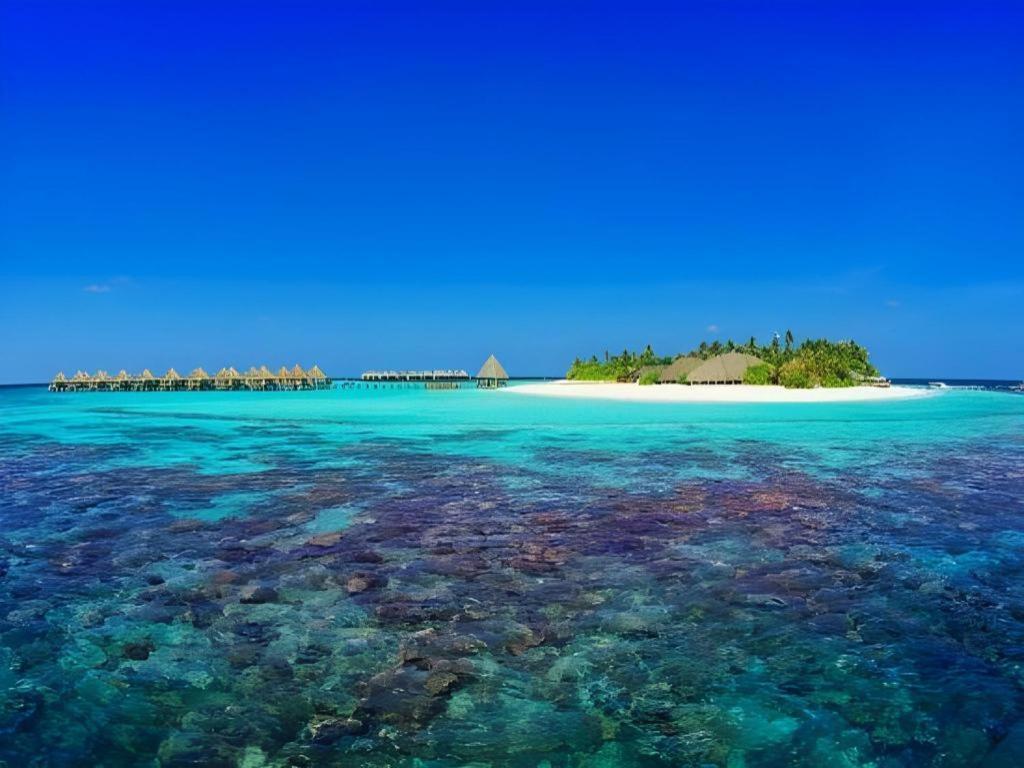 Angaga Island Resort And Spa Екстериор снимка